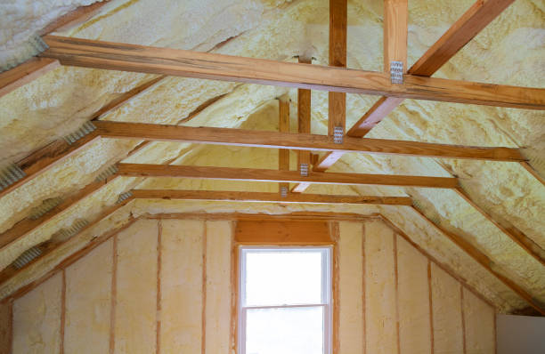 Best Cellulose Insulation in Seminole, TX